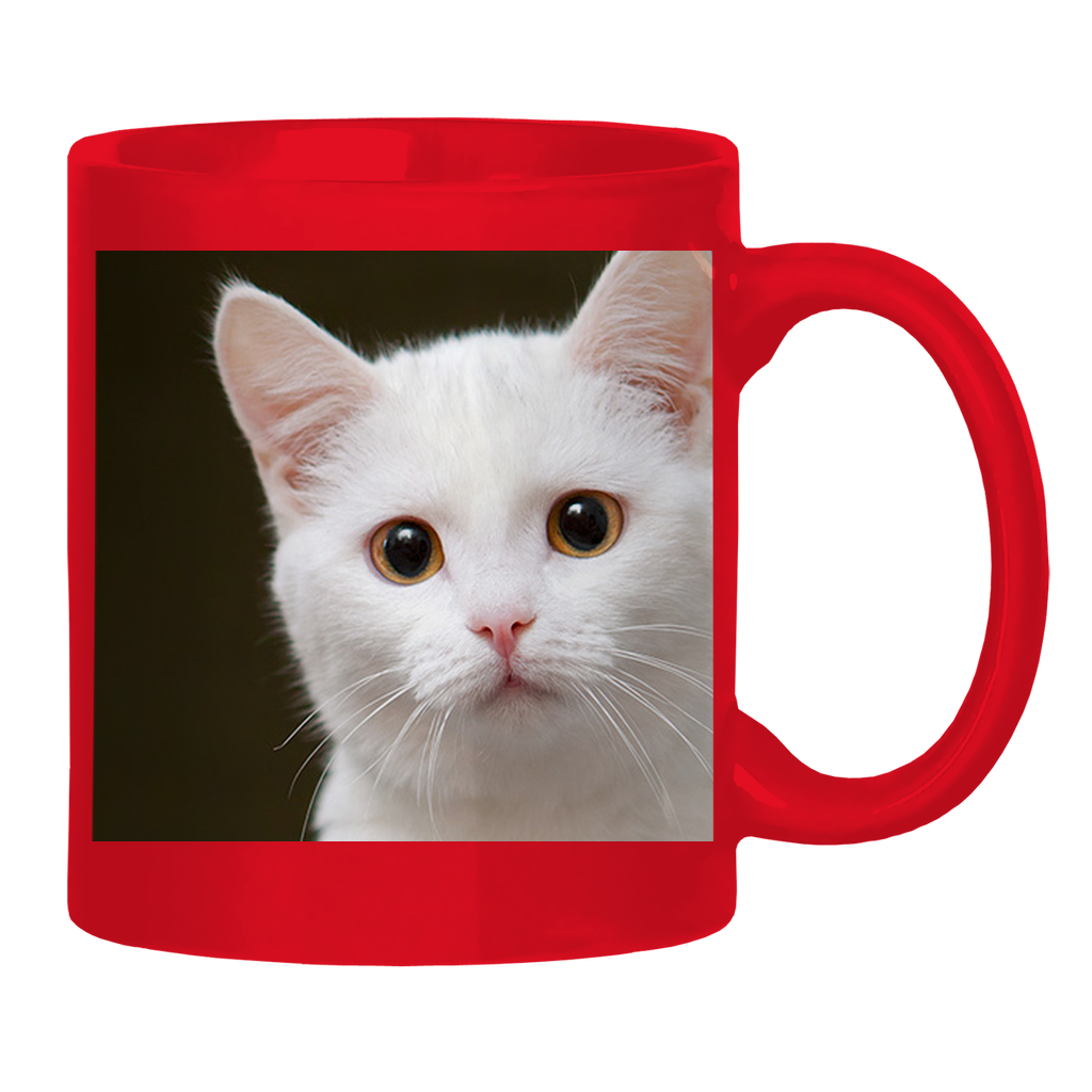 Test Collection Glossy Mug