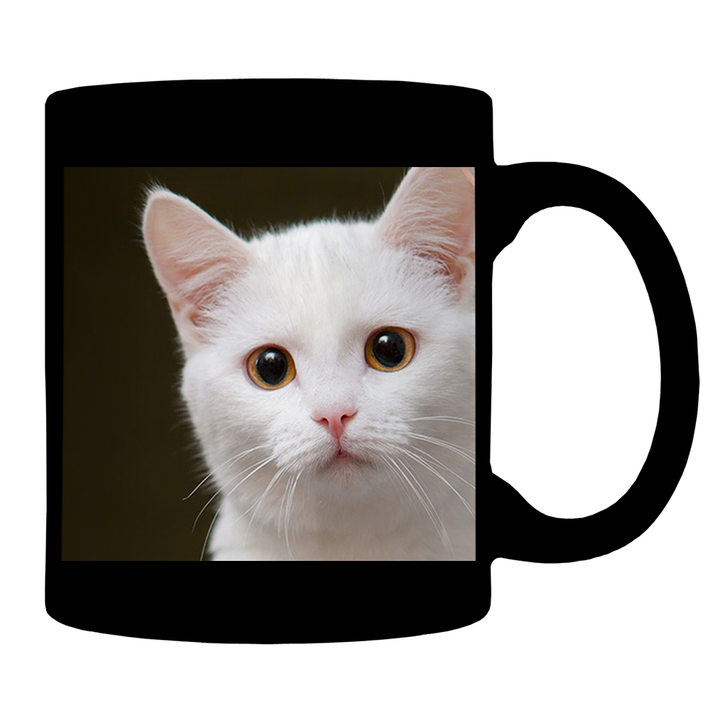 Test Collection Glossy Mug