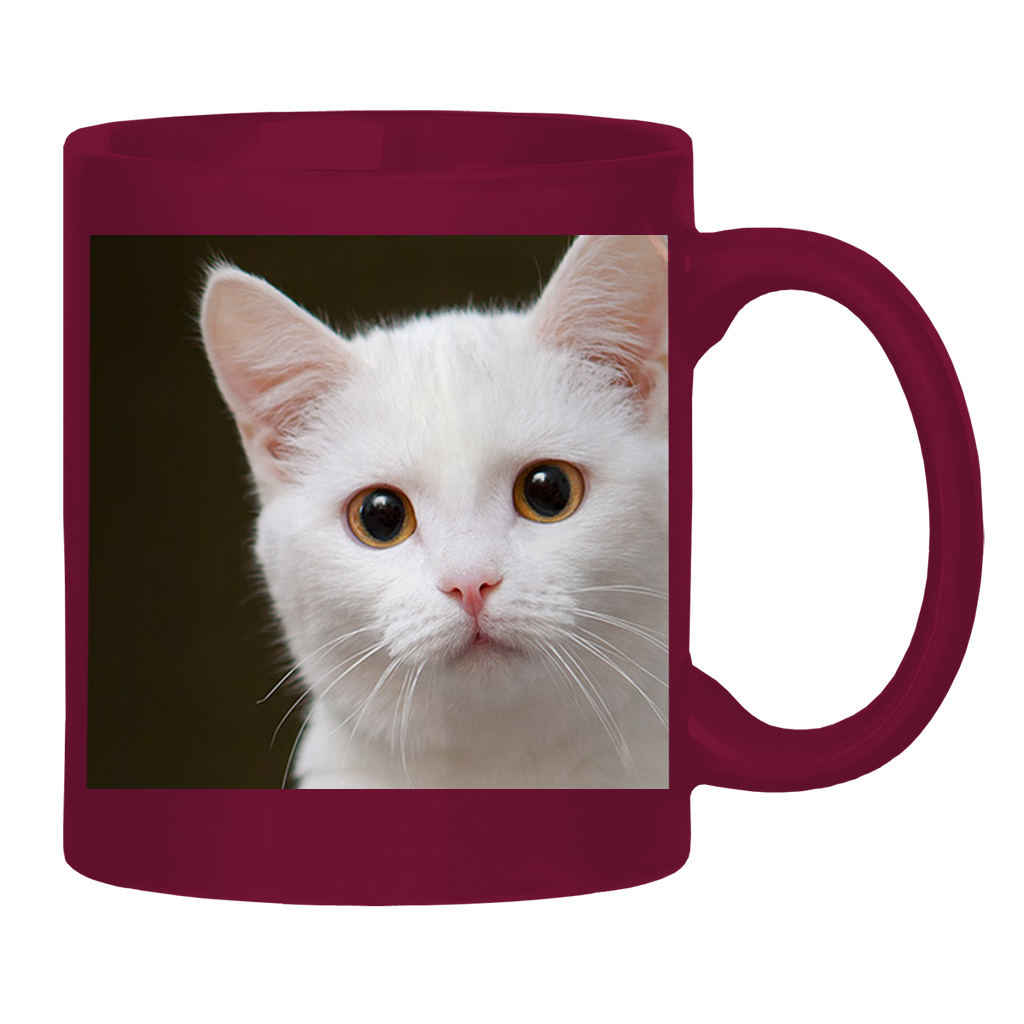 Test Collection Glossy Mug