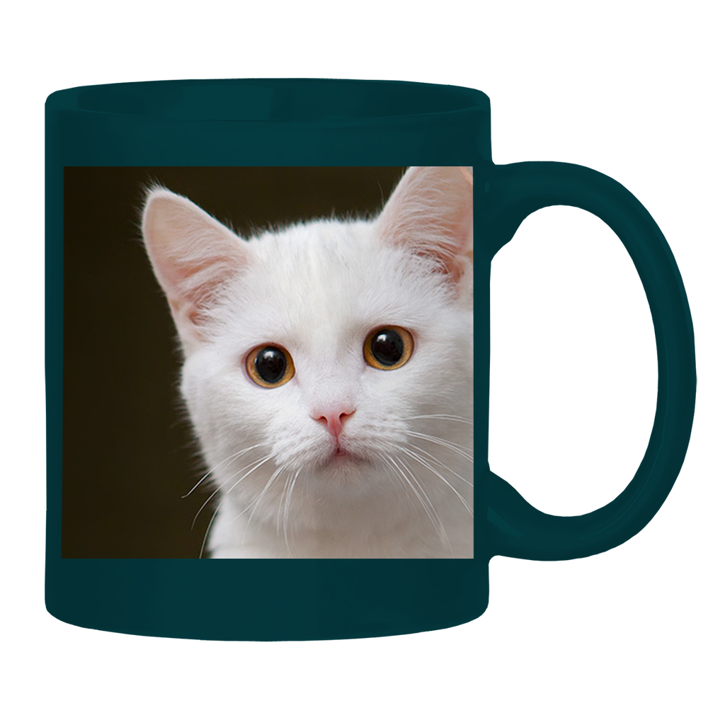 Test Collection Glossy Mug