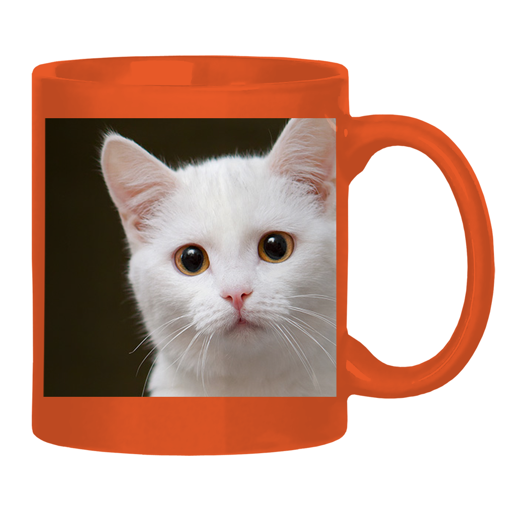 Test Collection Glossy Mug