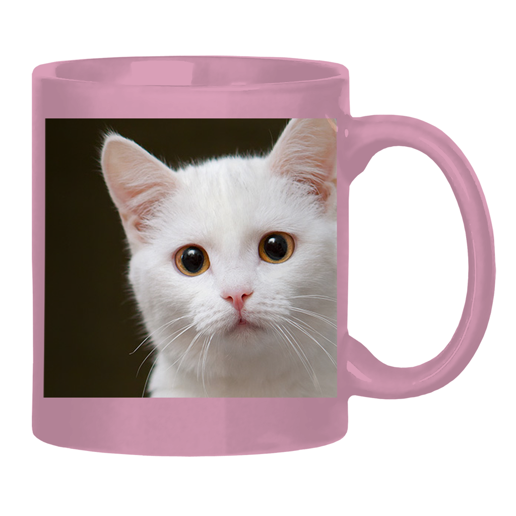 Test Collection Glossy Mug
