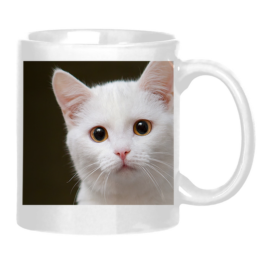 Test Collection Glossy Mug