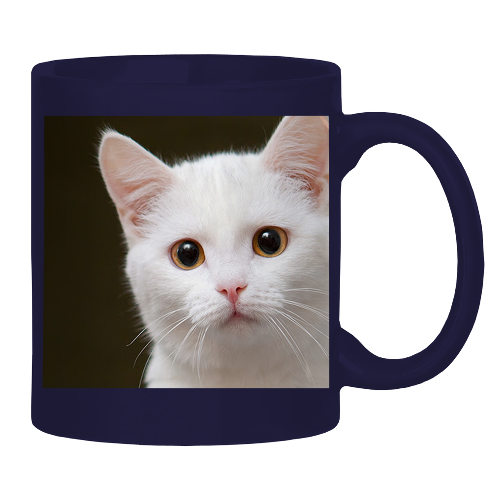 Test Collection Glossy Mug