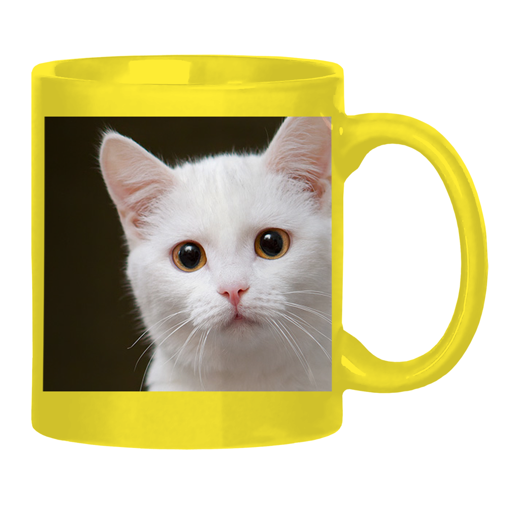 Test Collection Glossy Mug