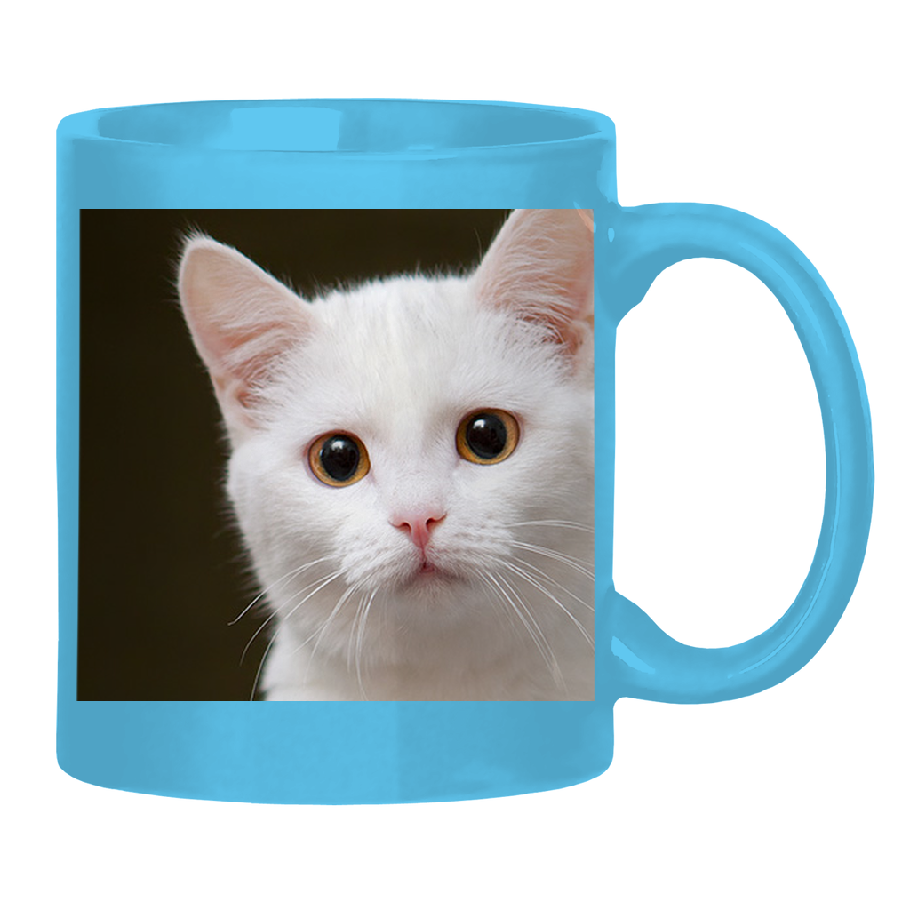 Test Collection Glossy Mug